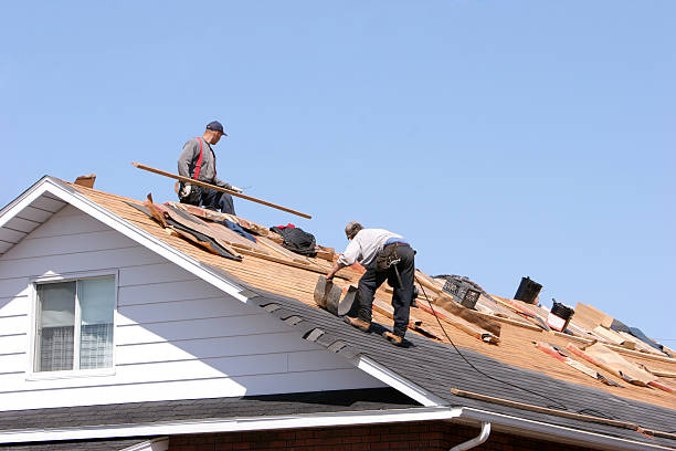 Best Steel Roofing  in Mason, TN